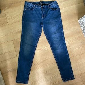 Curve Appeal Essential Skinny Jeans 12/31